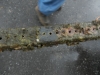 dot13scrape