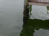 dscn4461